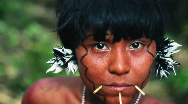 Solicitan medidas cautelares para los 13 indígenas Pemones